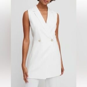 Aritzia Babaton Blazer Vest